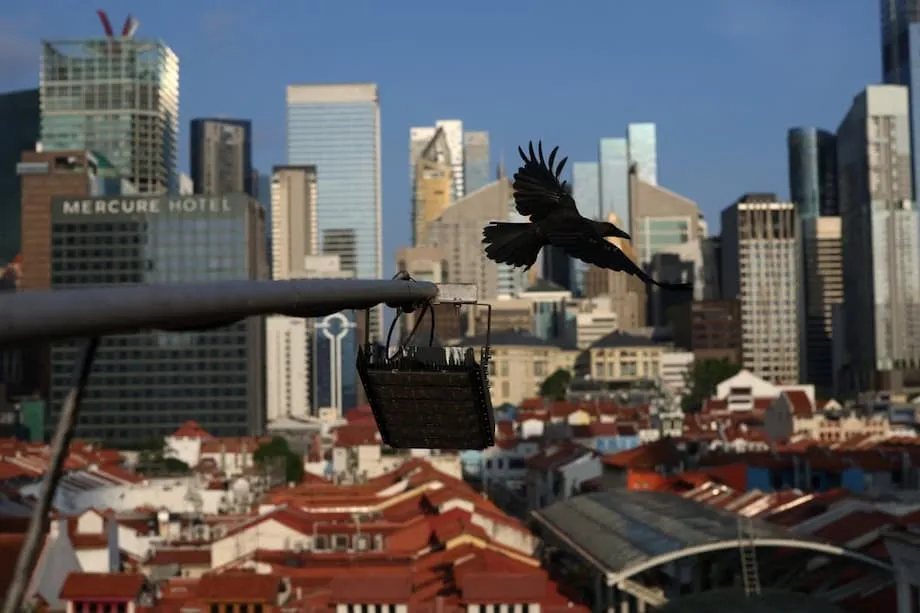 Singapur afronta un preocupante aumento de los suicidios entre adultos jóvenes: comprender la crisis y las vías para avanzar