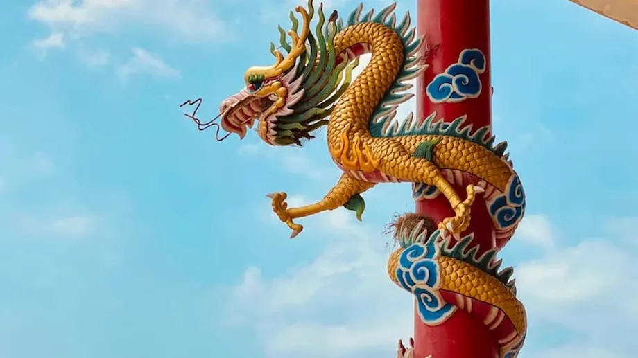 El hallazgo en China de un fósil de un «dragón» prehistórico revela un reptil acuático de cuello largo del Triásico