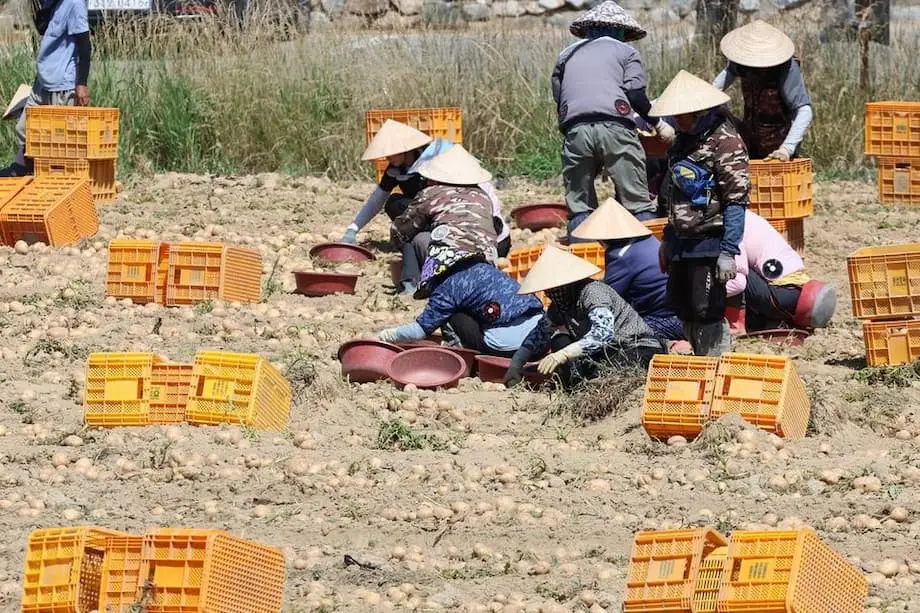 Corea del Sur amplía la campaña para promover un trato respetuoso a los trabajadores migrantes