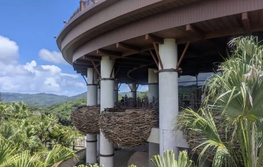 Junglia: el parque temático de dinosaurios de Okinawa inaugura una nueva era de aventura y turismo
