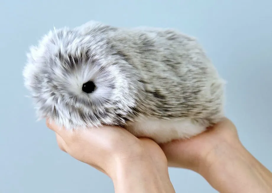 Moflin: la esponjosa mascota robótica con inteligencia artificial que cautiva a Japón con su personalidad única
