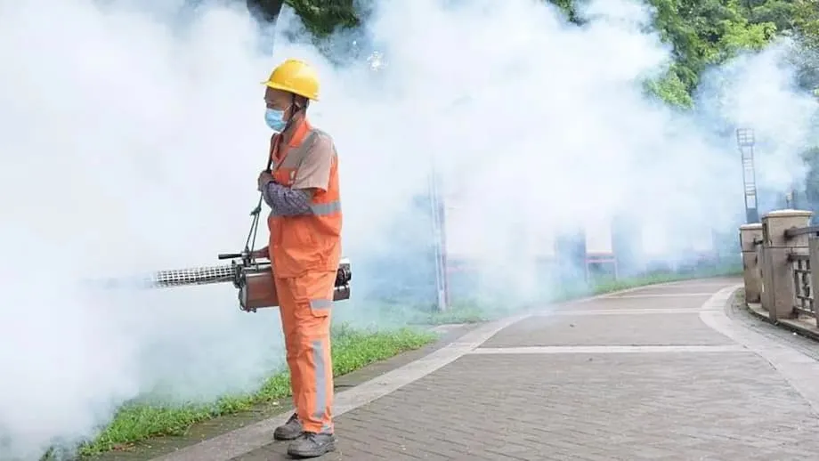 El mayor brote de chikunguña en China: cómo combate Guangdong un virus transmitido por mosquitos