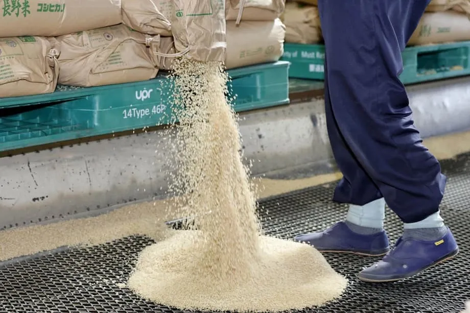 La crisis de inseguridad alimentaria en Japón: por qué la mayoría de las familias de bajos ingresos tiene dificultades para alimentar a sus hijos