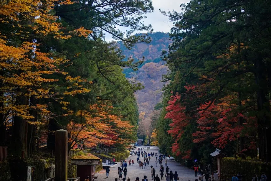 5 lugares de Japón para ver las primeras hojas del otoño
