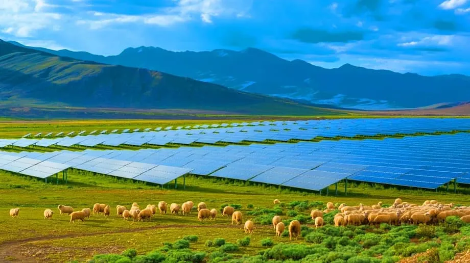La gigantesca planta solar de China revitaliza el ecosistema y suministra energía a millones de personas