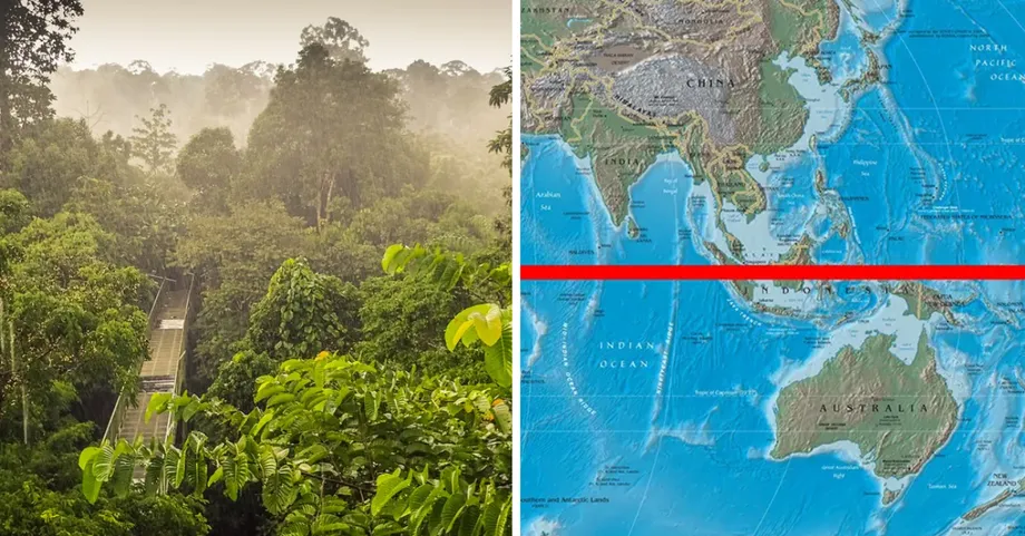 Por qué las selvas tropicales de Malasia están entre los ecosistemas más antiguos de la Tierra