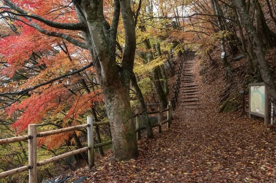 Otoño corto, invierno abrupto: Japón se prepara para un cambio repentino de estación