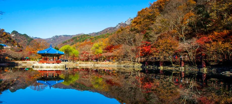 Guía del follaje otoñal de Corea en 2025: fechas de máximo color, mejores lugares y consejos para planificar