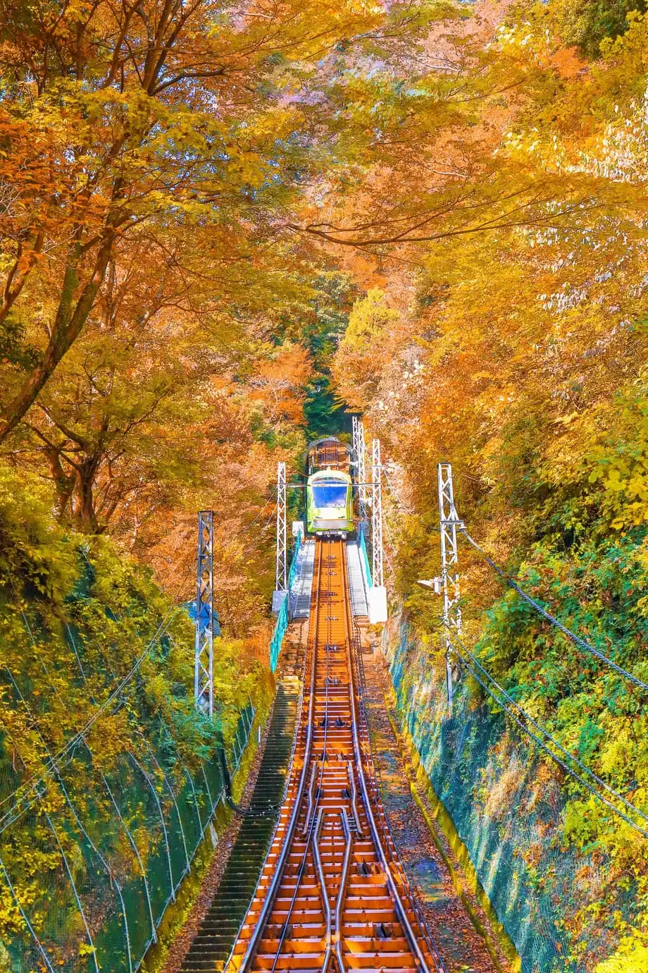 Japón en tren en otoño: los mejores recorridos para contemplar el follaje