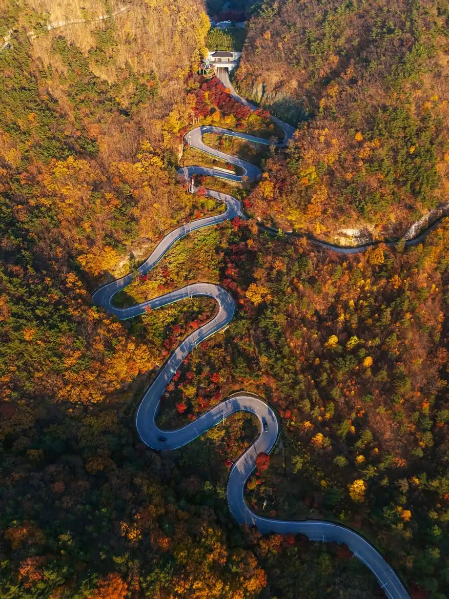 Corea del Sur en 2026: cultura, nuevas rutas y una gastronomía que merece el viaje