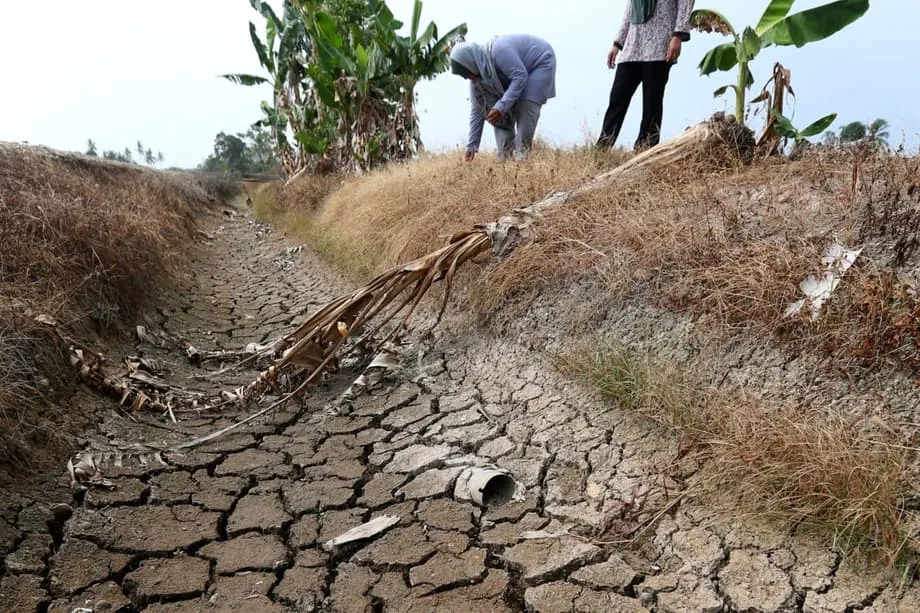 El auge de los centros de datos en Johor choca con la escasez de agua