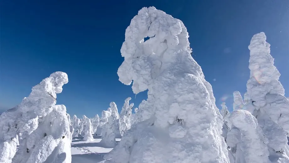 Los monstruos de nieve del monte Zao se reducen rápidamente por el calentamiento de los inviernos y las plagas