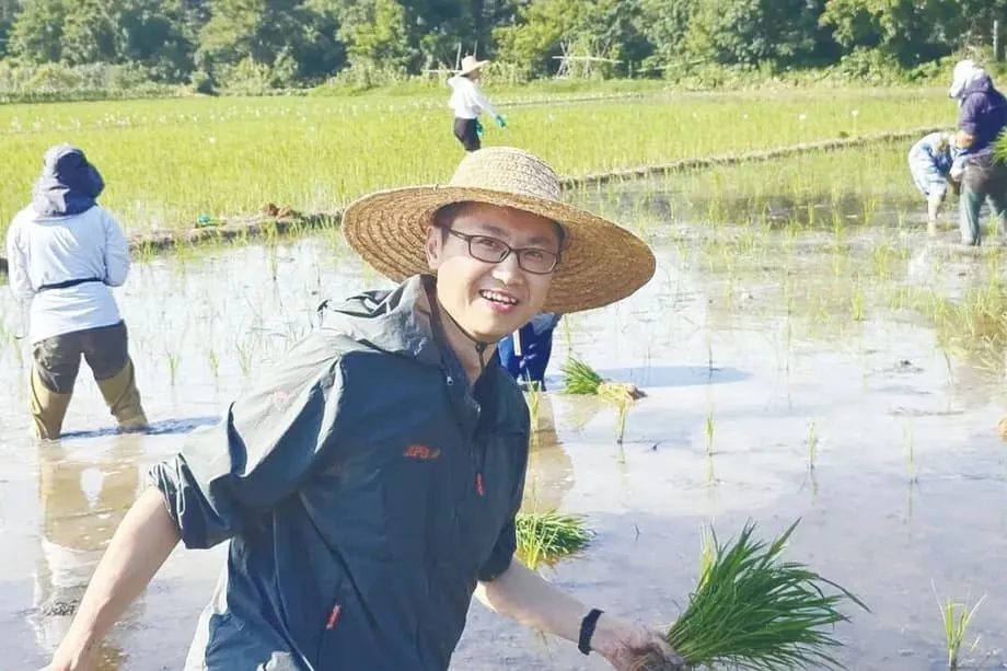 Avance de China en el arroz híbrido clonal podría transformar la seguridad alimentaria mundial