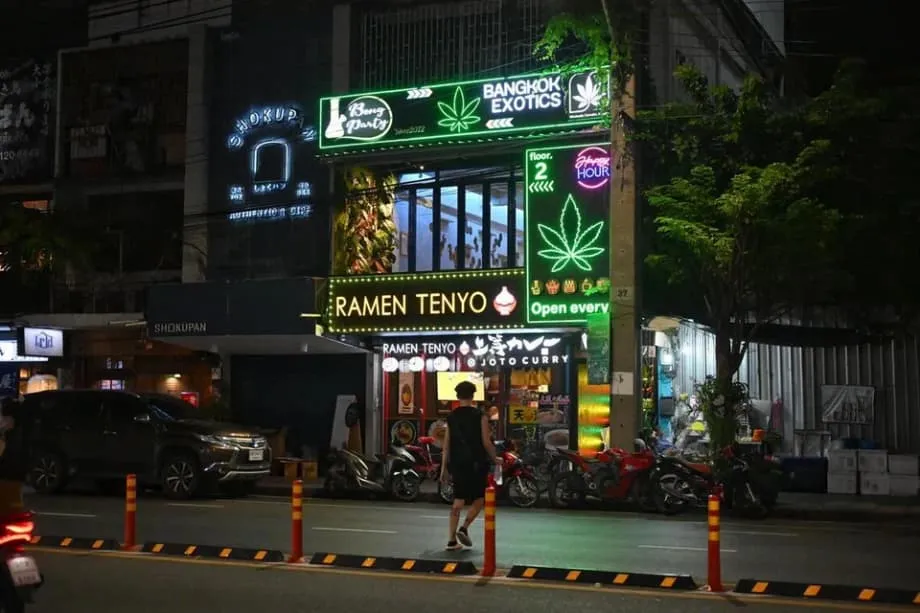 El experimento de Tailandia con el cannabis: de la esperanza económica a la preocupación social