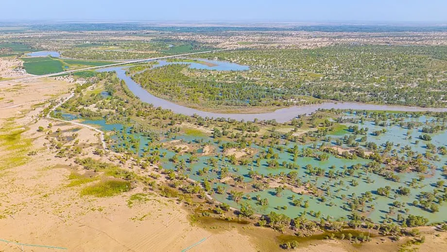La Gran Muralla Verde de China convierte el desierto de Taklamakán en un sumidero de carbono