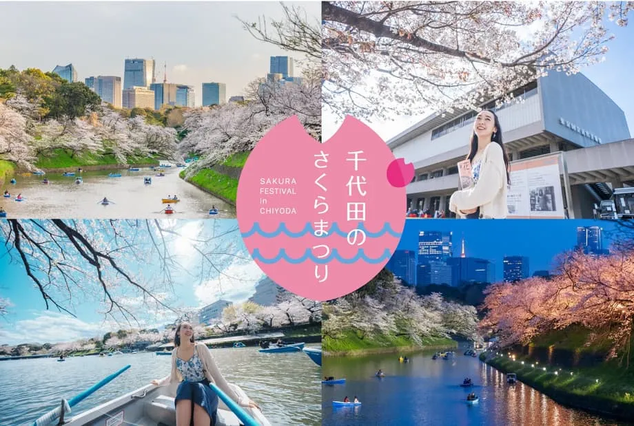 El Festival de los cerezos en flor de Chiyoda 2026 convierte el distrito del Palacio Imperial de Tokio en un escenario de celebraciones primaverales durante casi siete semanas