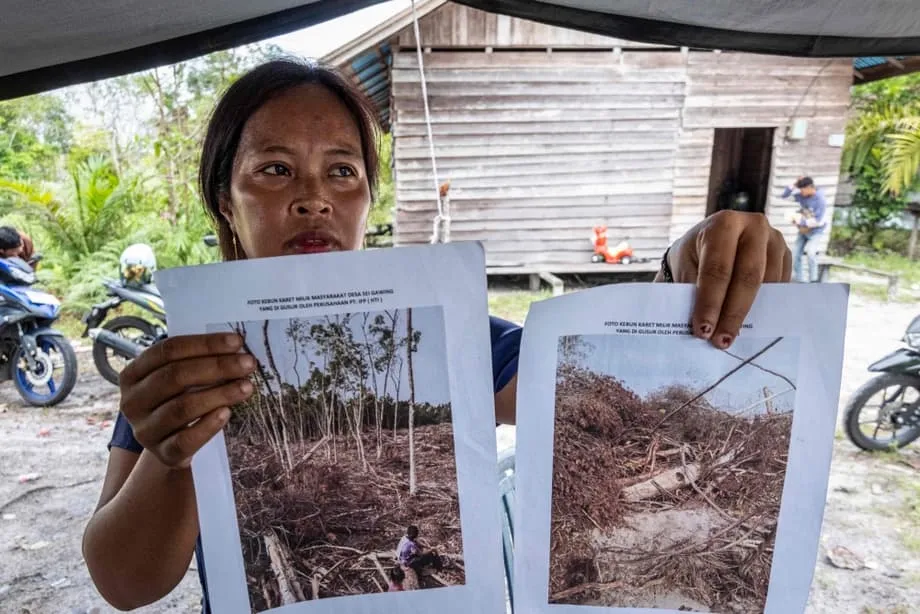 Un gigante farmacéutico rompe vínculos tras una investigación que relaciona envases neutros en carbono con la destrucción del hábitat de los orangutanes