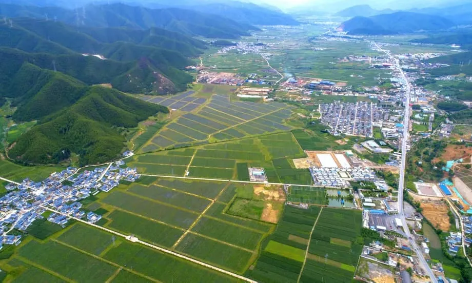 La revolución del arándano en China: cómo la provincia de Yunnan convirtió un producto importado de lujo en una potencia exportadora mundial