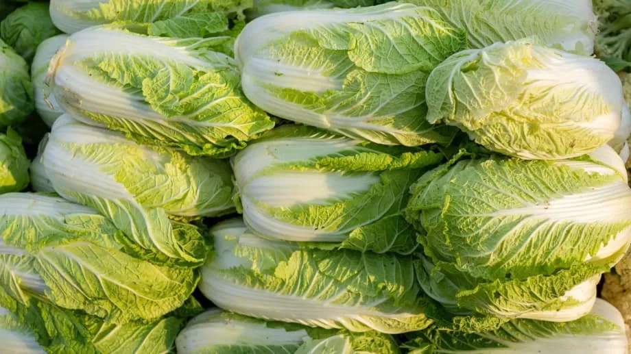 China investiga el tratamiento ilegal de coles con formaldehído mientras crece la preocupación por la seguridad alimentaria en la región