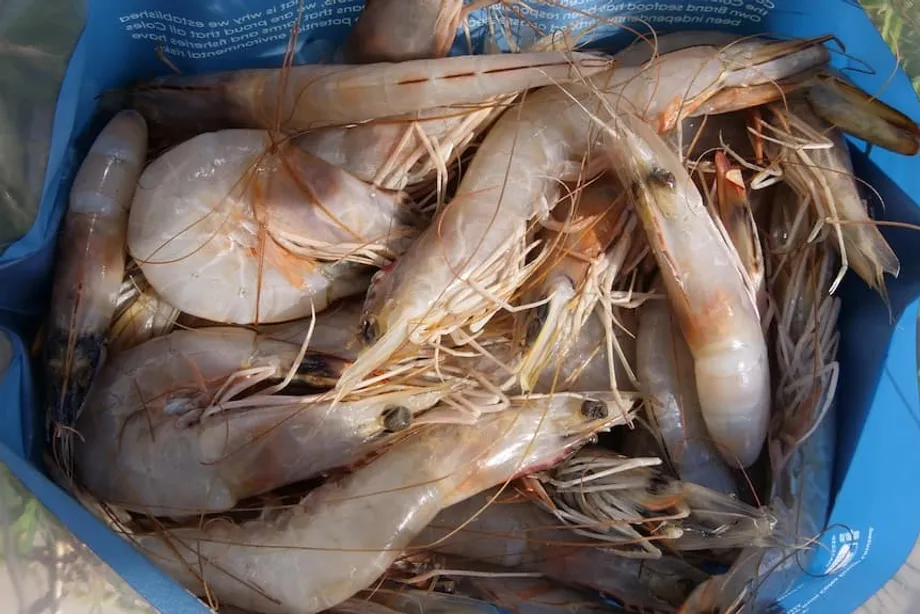 Cómo el cesio 137 contaminó camarones, especias y zapatillas: detalles de la investigación sobre radiación en Indonesia