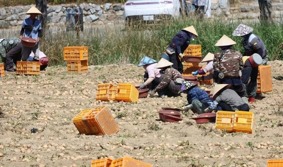 Corea recurre a la inmigración, pero un estudio advierte que no detendrá el declive demográfico