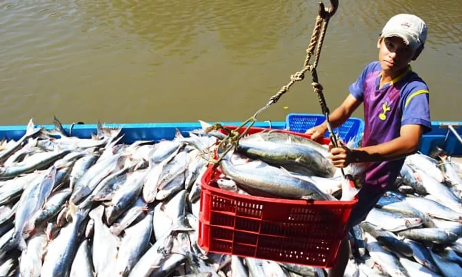 Vietnam asciende hasta convertirse en el tercer mayor proveedor de productos del mar de Singapur