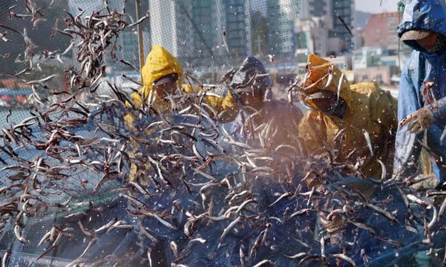 Los trabajadores extranjeros cualificados en Corea del Sur superan el umbral de ingresos de 2.000 dólares mientras el país afronta una crisis demográfica
