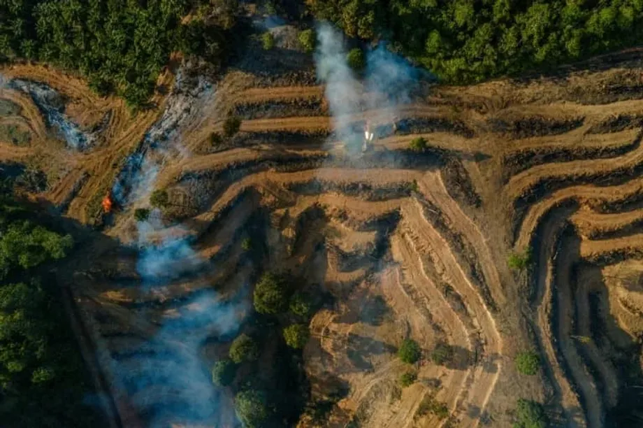 Investigación por fraude con aceite de palma en Indonesia vincula a grandes empresas energéticas europeas con un esquema de etiquetado falso
