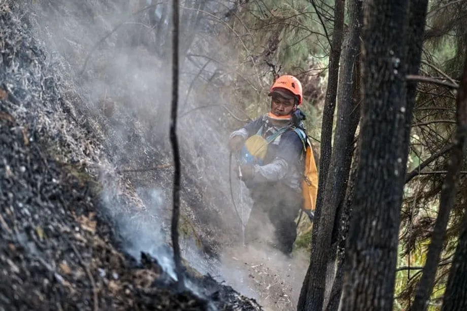 Indonesia combate incendios forestales mientras un fuerte El Niño intensifica el calor, la sequía y la bruma