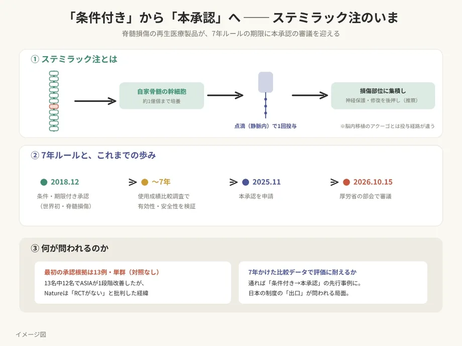 Japan Panel Backs Full Approval of Stemirac Spinal Cord Injury Treatment