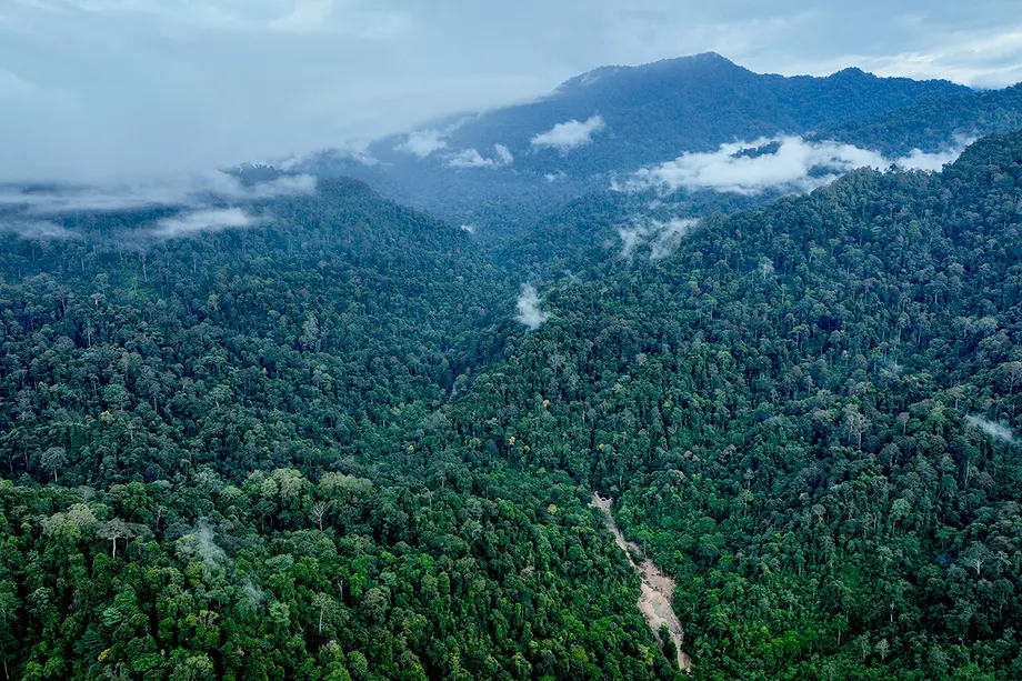 Aceh Mining Permits Cover 155,307 Hectares as Walhi Calls for Public Review