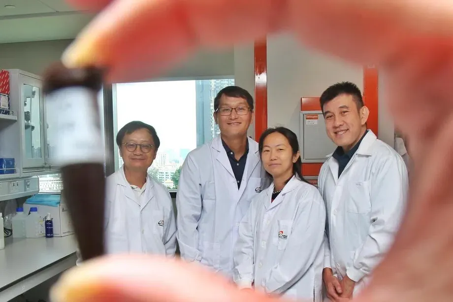 Singapore Team Develops E8 Nanobody to Target Cancer Growth in Abdominal Lining