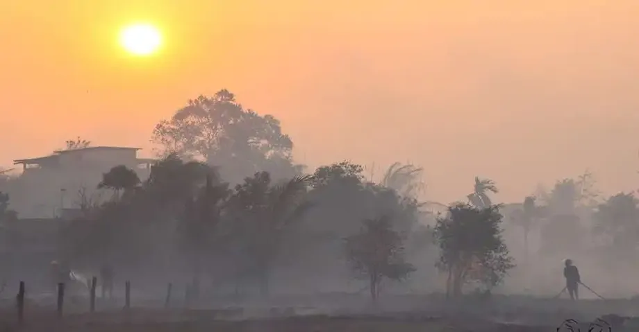 Fires Hit Indonesia's National Parks as Wildlife Losses and Demands for Accountability Grow