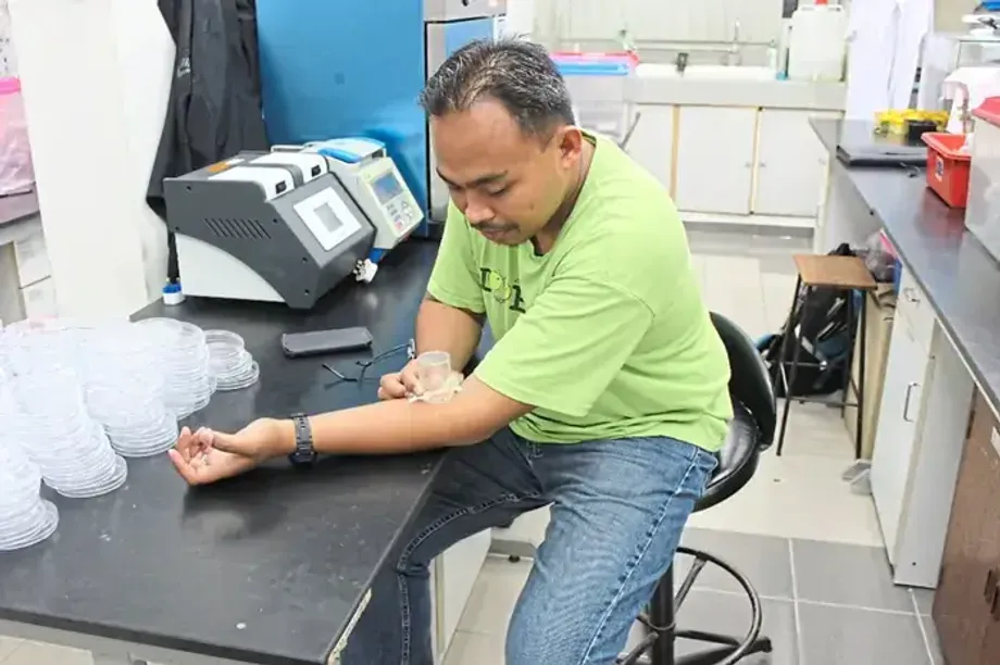Las chinches como evidencia forense: científicos de Malasia descubren nuevas pistas en la escena del crimen