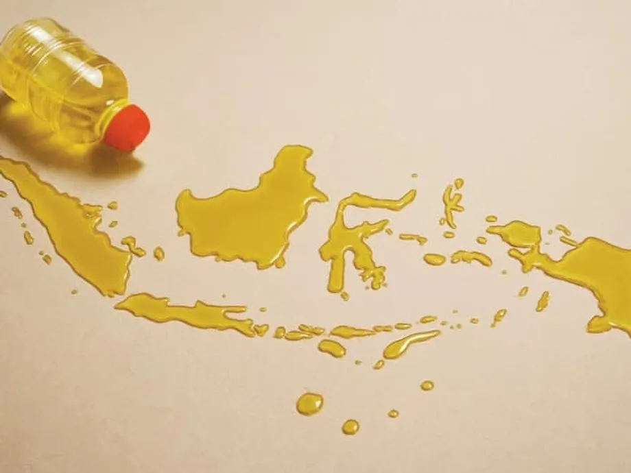 Cómo el aceite de palma de Indonesia sostiene la seguridad alimentaria y la estabilidad de precios en Pakistán